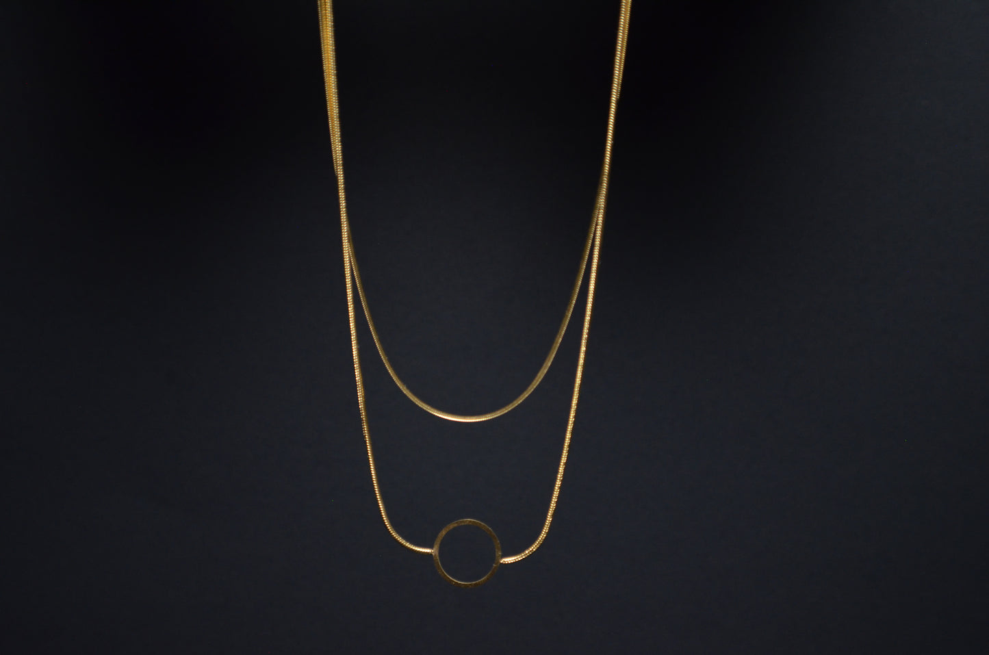 Snake Chain Necklace